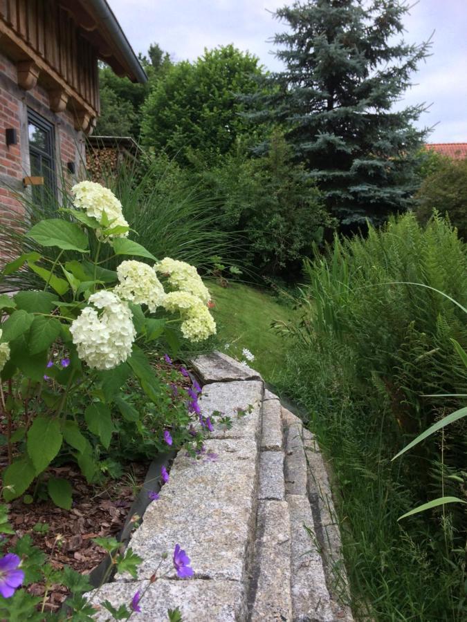 Haus Am Fischendorfer Bach Villa Bad Fallingbostel Kültér fotó